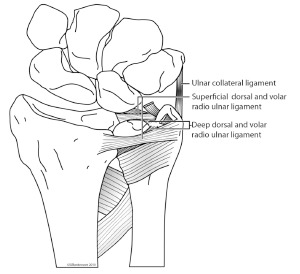 Fig. (3)