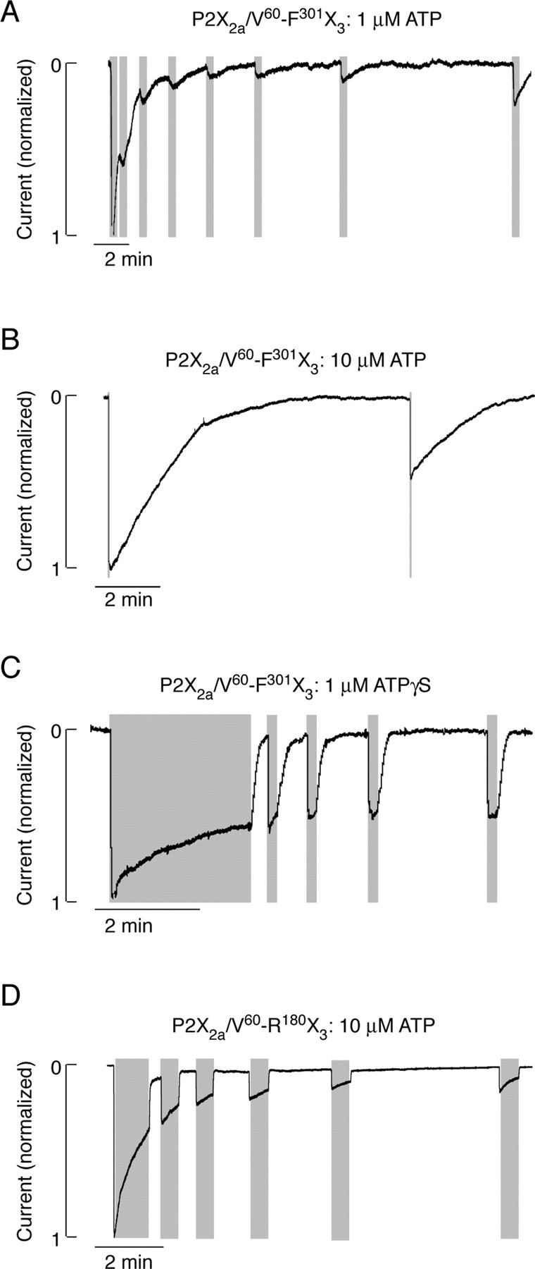 
Figure 10.
