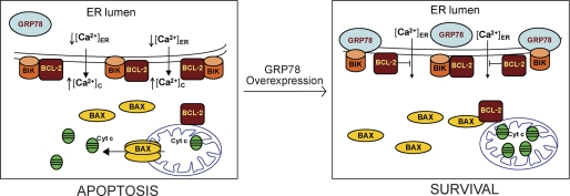 FIGURE 11.