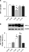 Fig 5