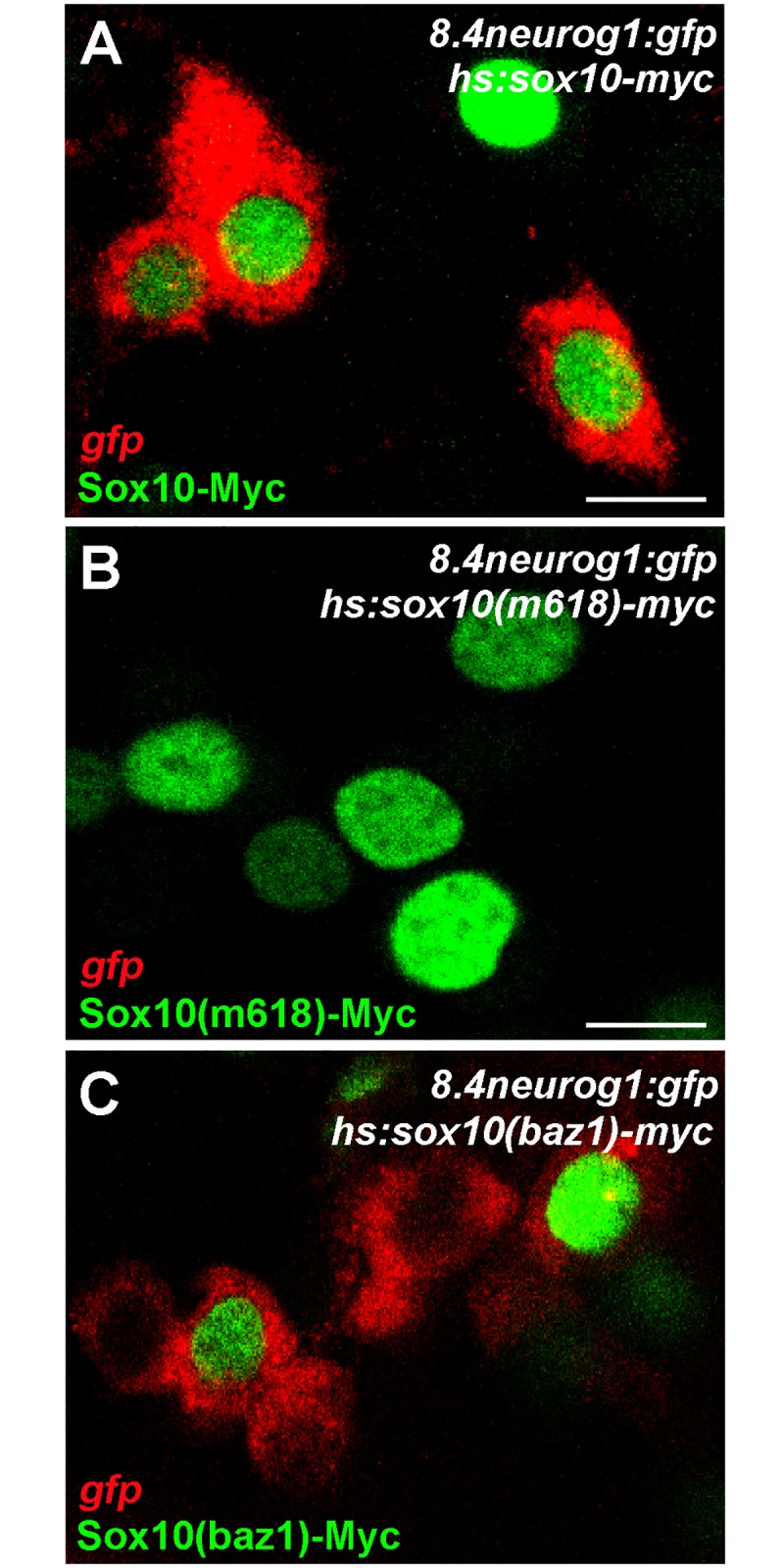 Fig 8