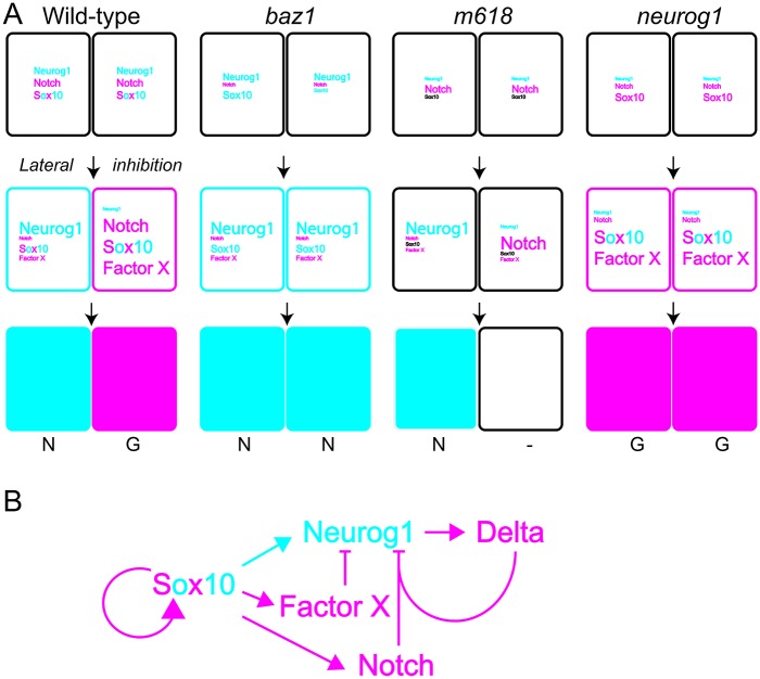 Fig 10