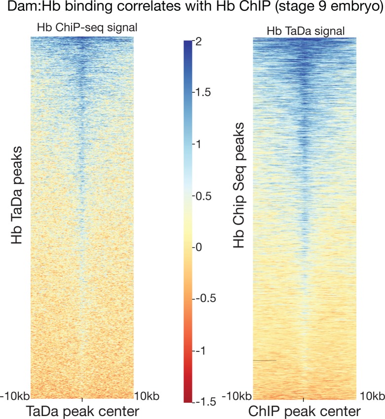 Figure 3—figure supplement 2.