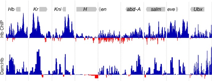 Figure 3—figure supplement 1.