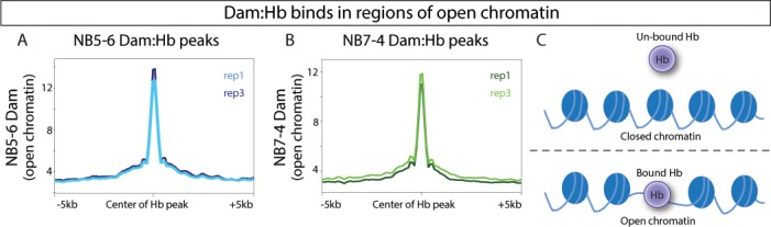 Figure 6—figure supplement 1.