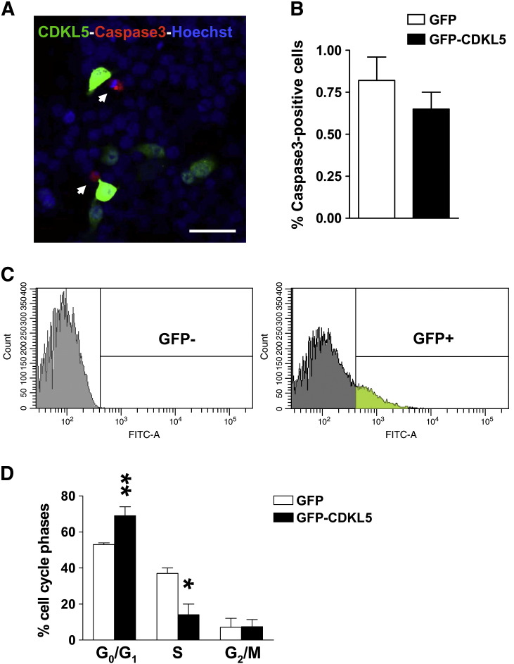 Fig. 4