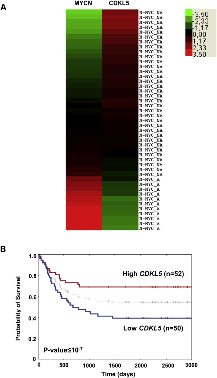 Supplementary Fig. 2