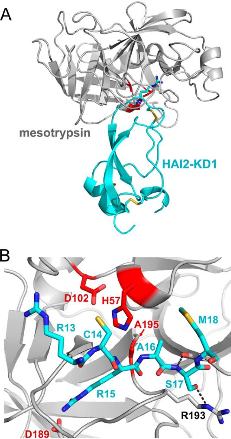 FIGURE 6.