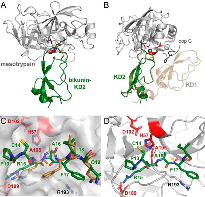 FIGURE 5.