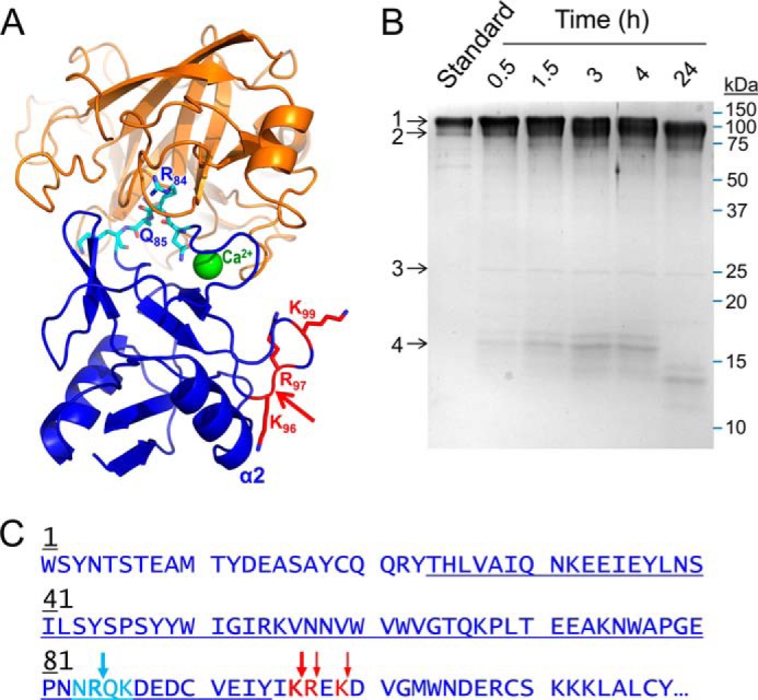 FIGURE 4.