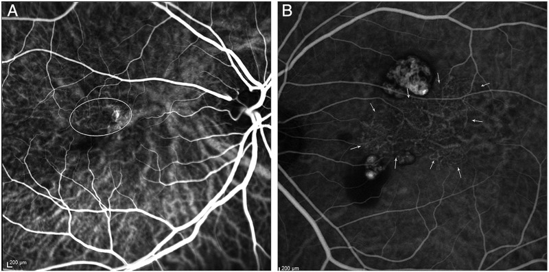 Figure 2