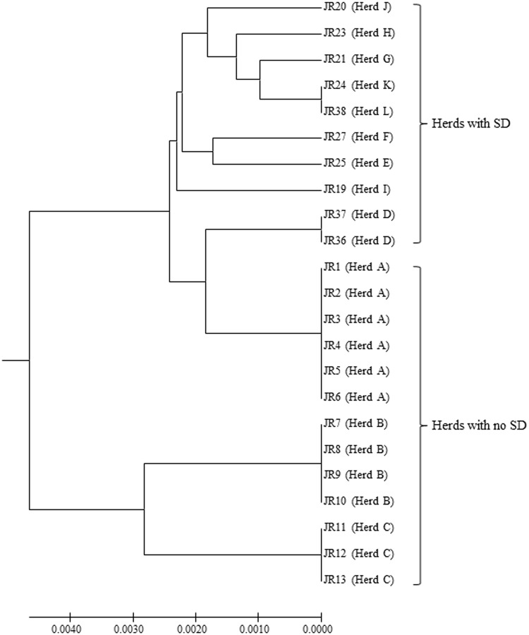 Fig 1