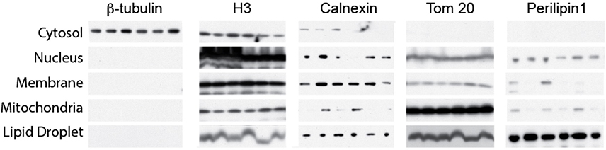 Extended Data Fig. 4: