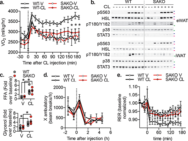 Fig. 4: