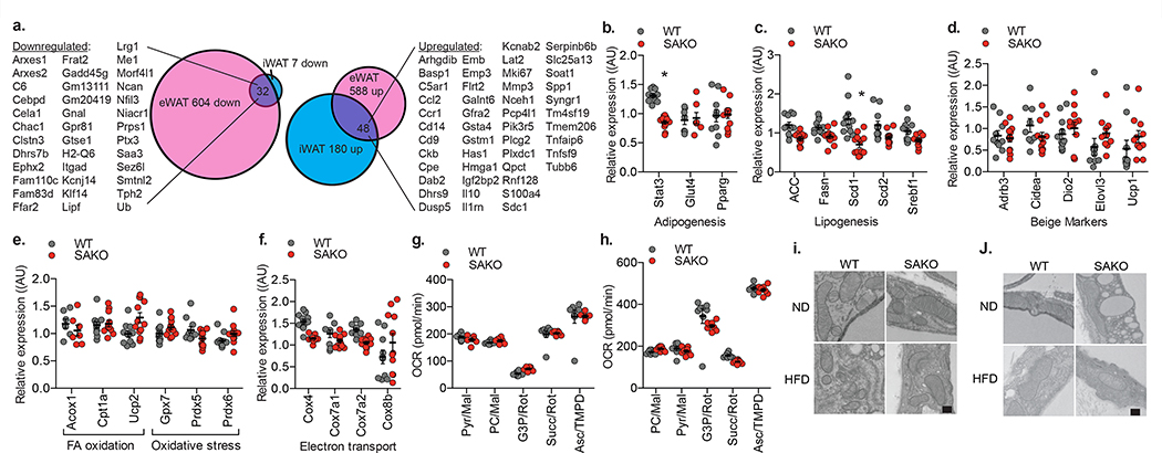 Fig. 6: