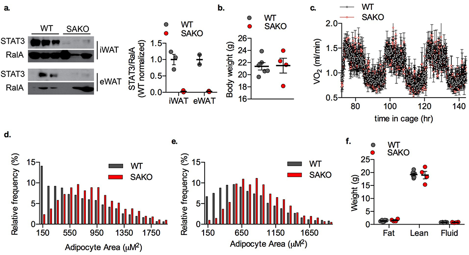 Extended Data Fig. 3: