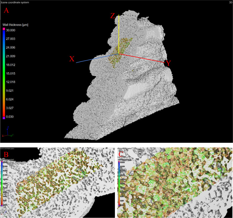 Figure 11