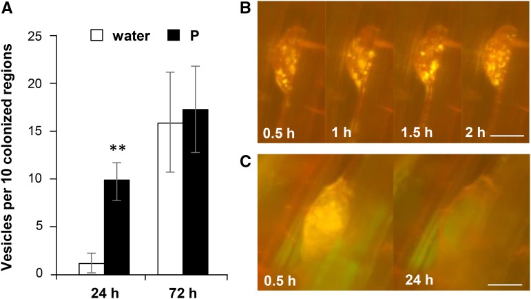 Figure 7.