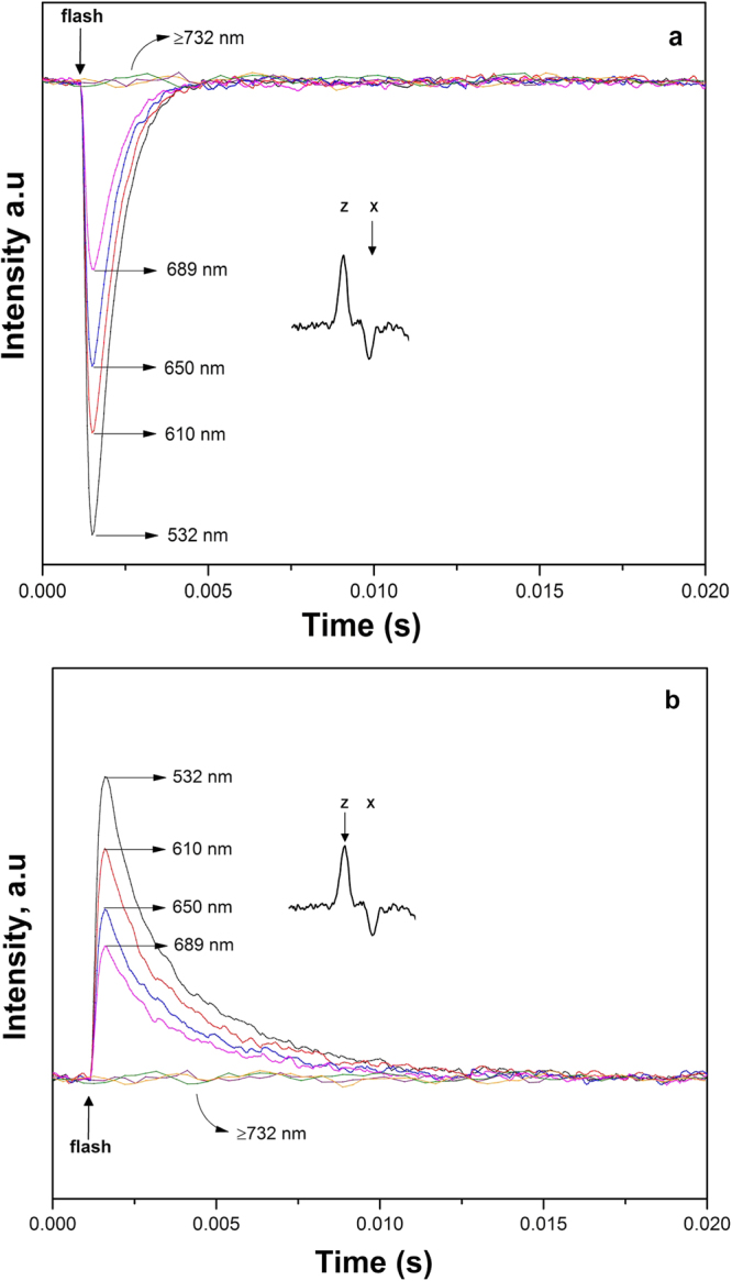 Figure 7