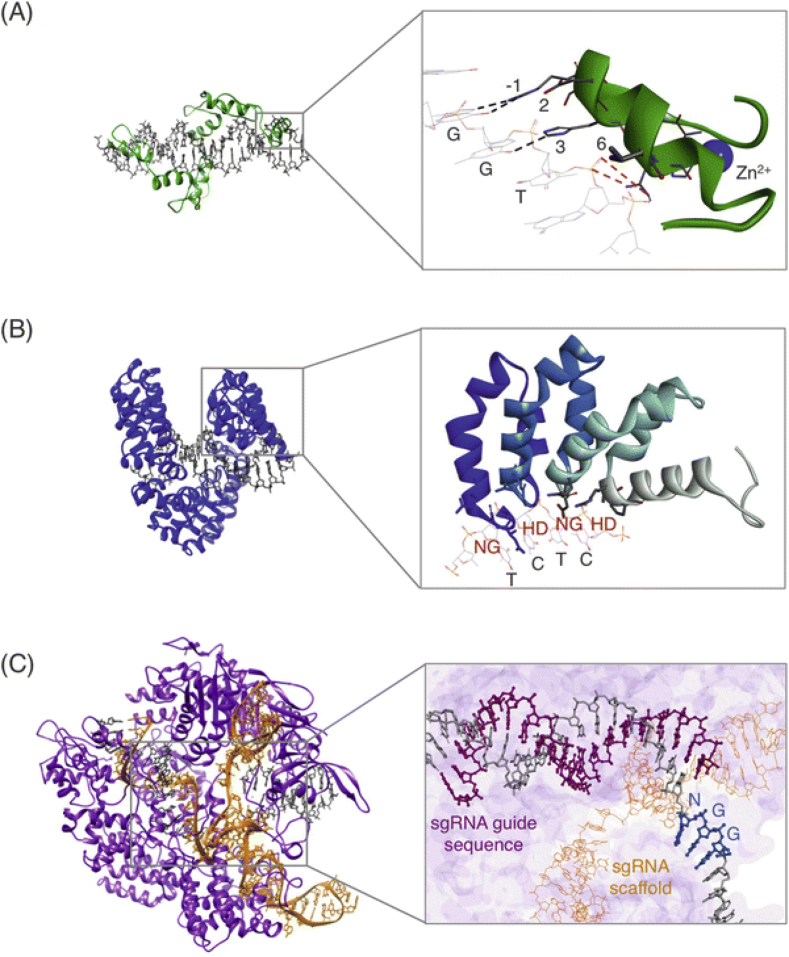 Figure 2