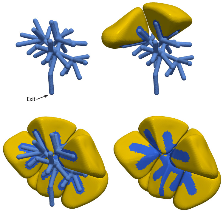 Figure 7