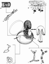 FIG. 6