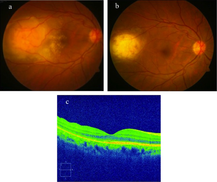 Figure 1