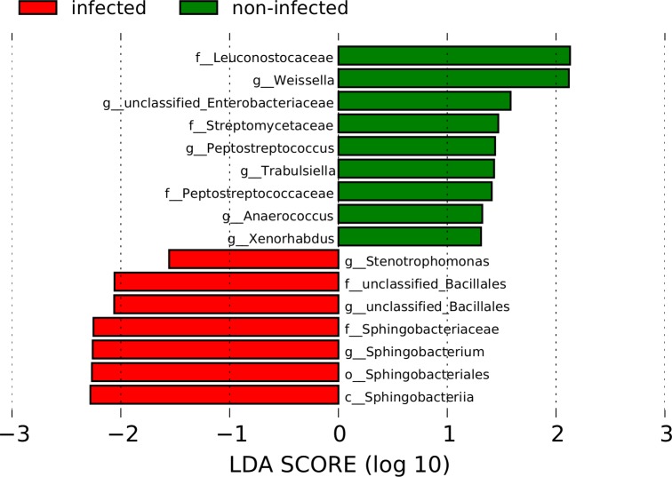 Fig 7