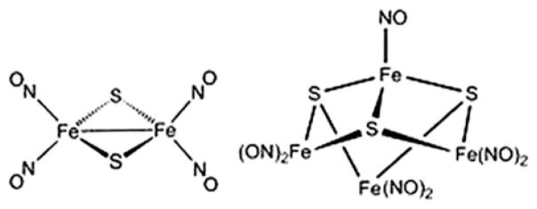 Fig. 10