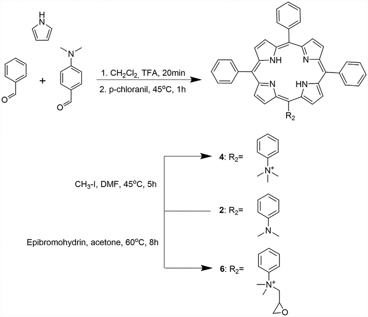 Scheme 2.