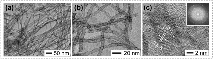 Fig. 13