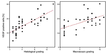 Fig. (2)