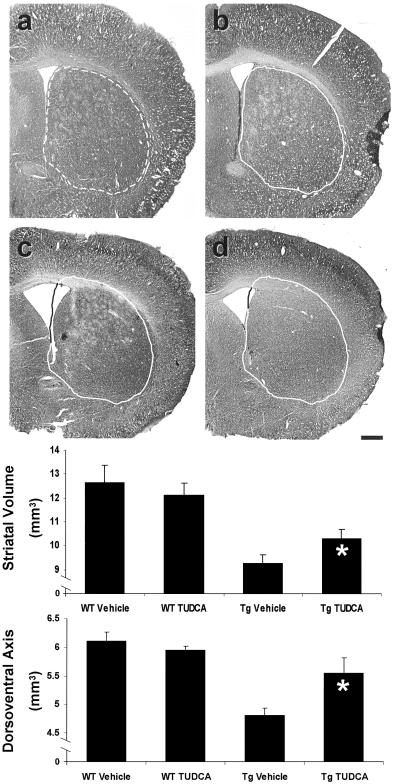 Fig 2.