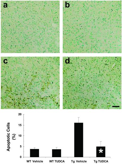 Fig 1.