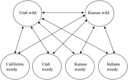 Figure 2.—