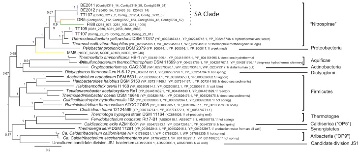 Figure 6