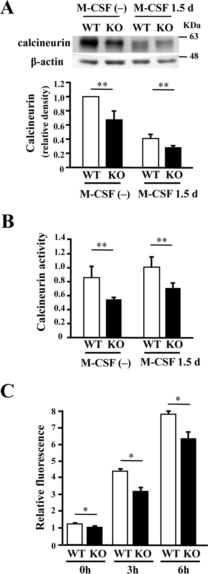 Figure 7.