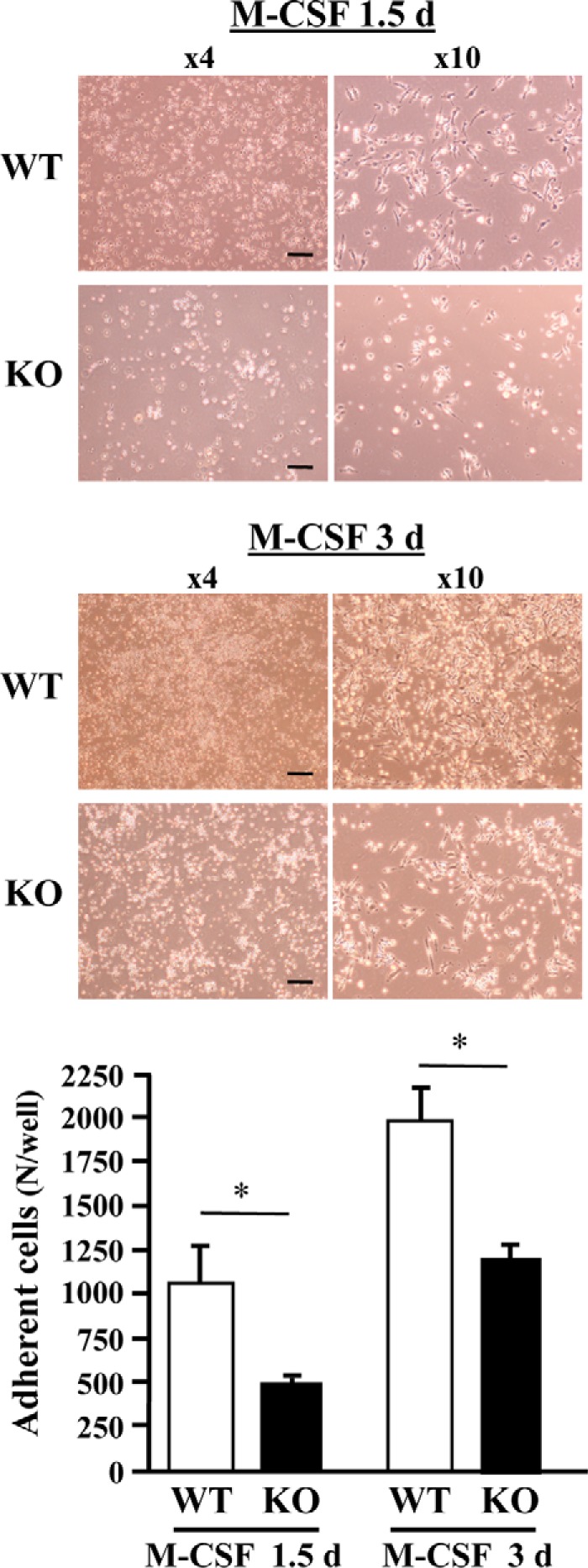 Figure 6.