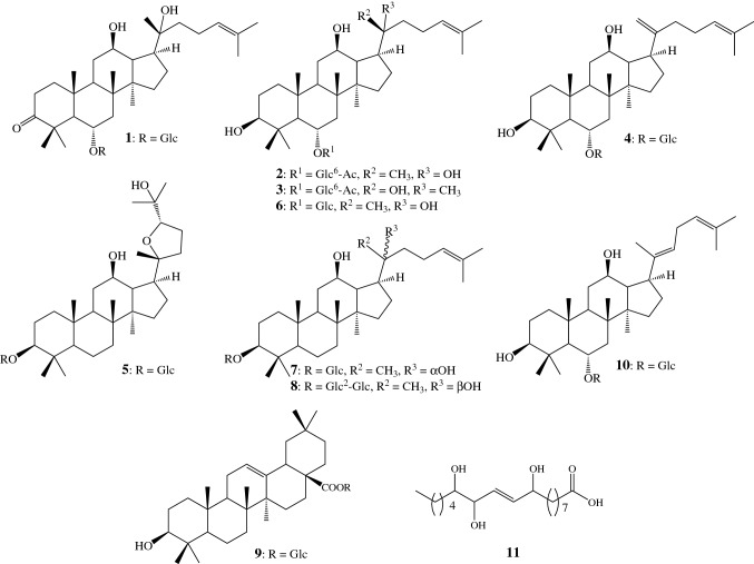 Fig. 1