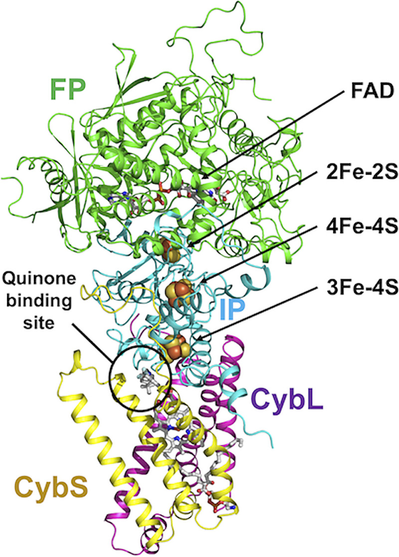 FIG 2