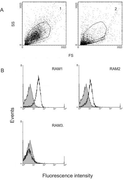 FIG. 3.