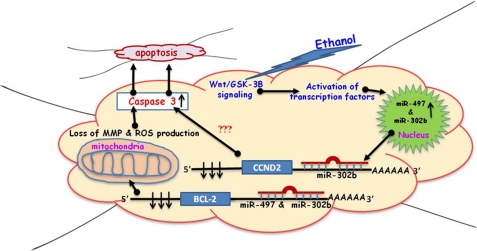 FIGURE 9.