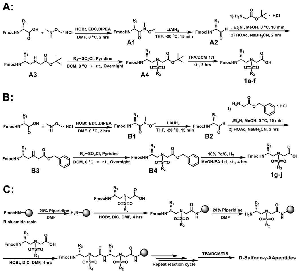 Scheme 1.