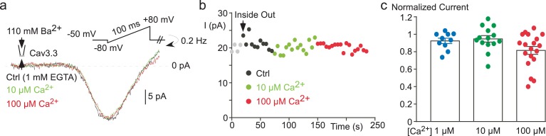 Figure 2—figure supplement 1.