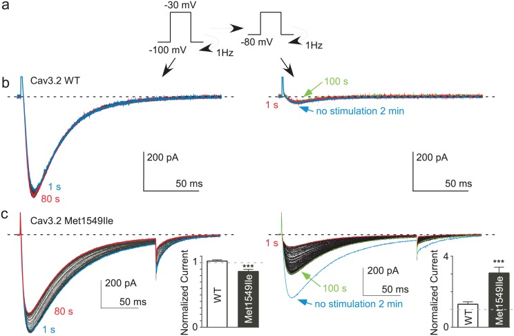 Figure 5—figure supplement 1.