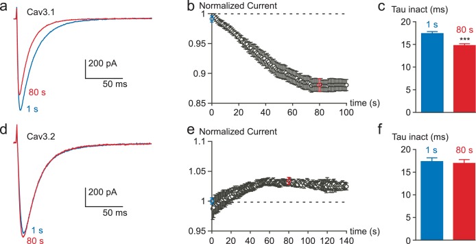 Figure 2—figure supplement 2.