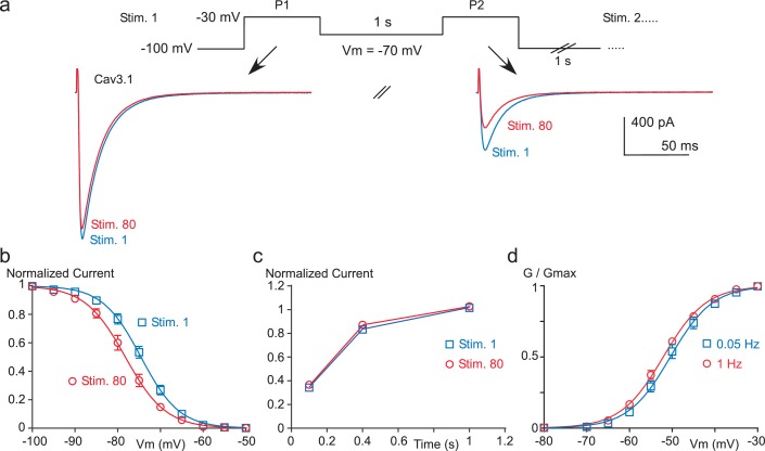 Figure 3—figure supplement 1.