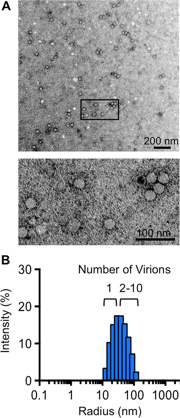 FIG 3 