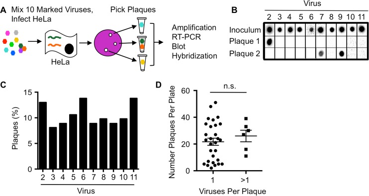 FIG 1 