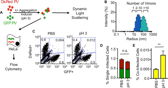 FIG 4 